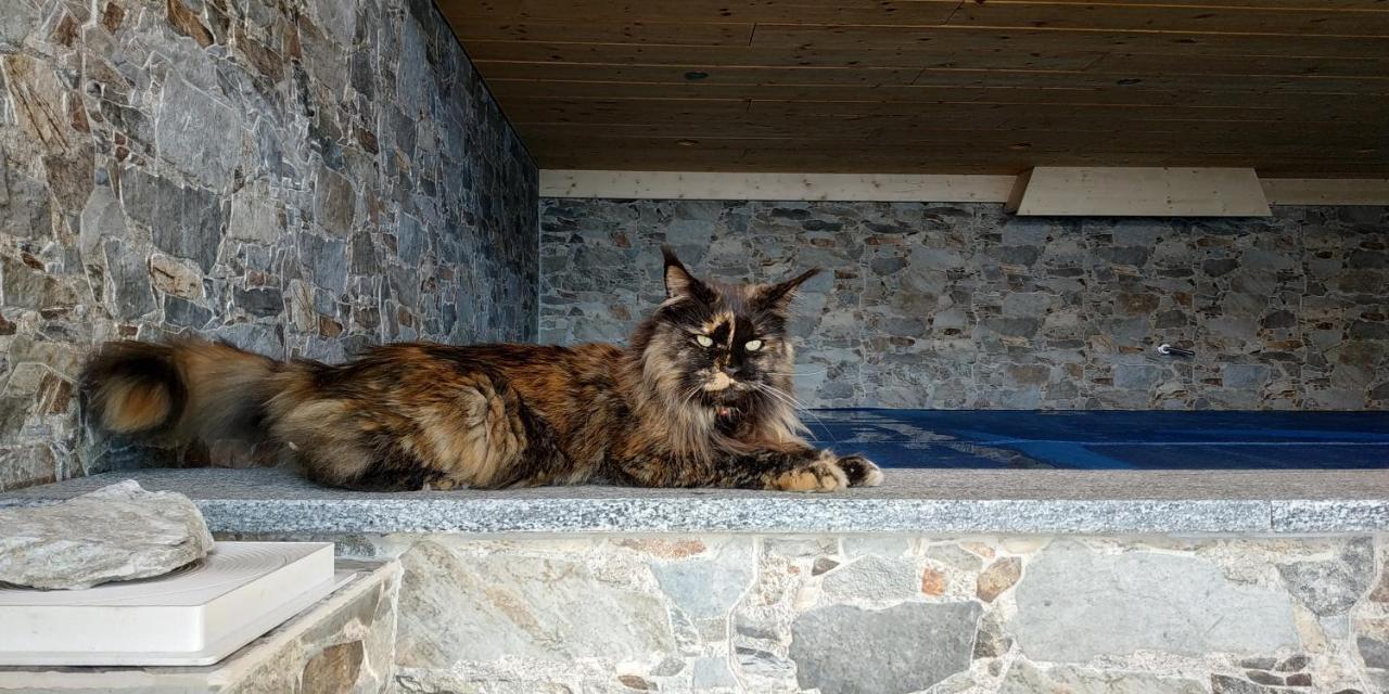 L Ame Et Son Du Coeur Casa de Férias *